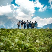 Plantation Tours